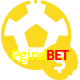 Aposte em esportes do mundo todo no Pgindbet!